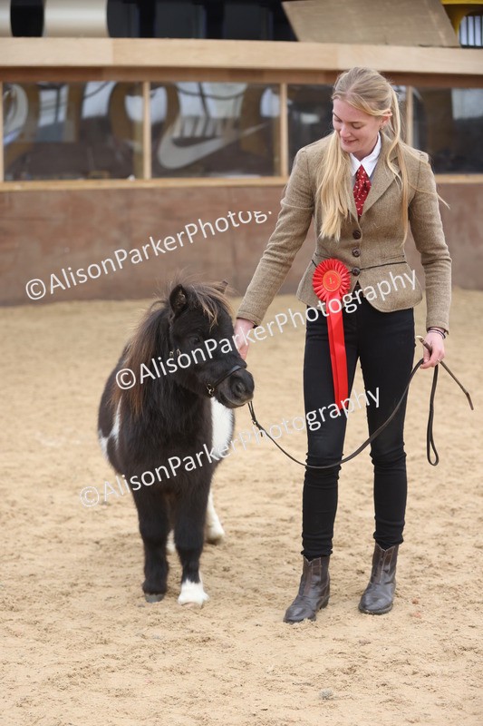 20251109-0207 - Class 10 - Yearling, Colt, Filly or Gelding