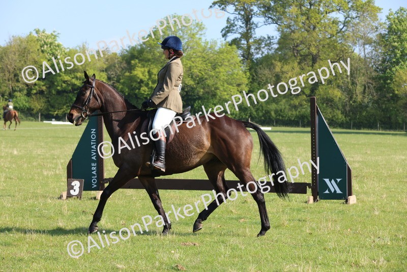 20250427-0558 - Class 17 - Novice Showing