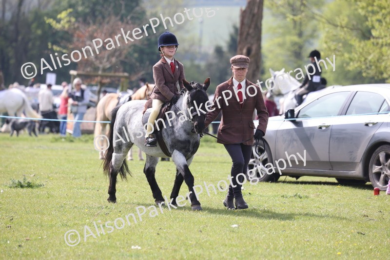 20260426-2600 - Class 31 - Leading Rein