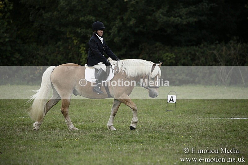 BVR090918 58 - BVRC Dressage and Show Jumping 09/09/18