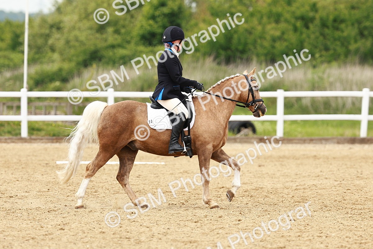 SBM_001775 - Class 7 - Novice 5