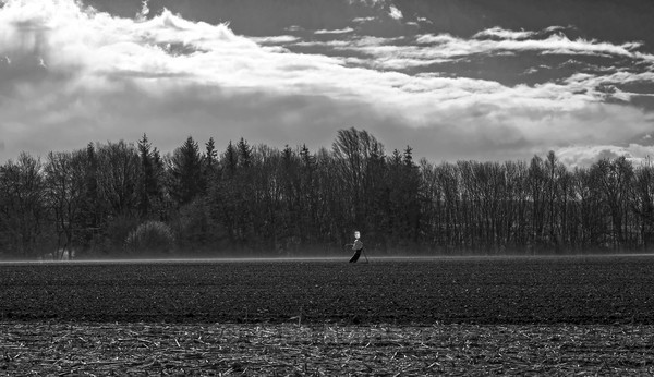  - Black and White