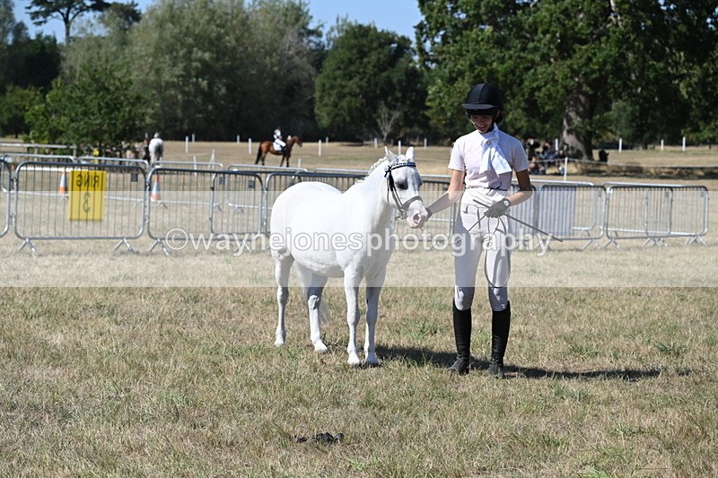 WJ6_9335 - Class 40 Cheekiest Pony/Horse