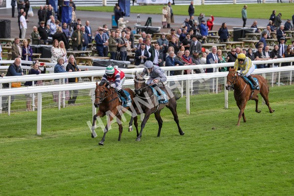 140624-Race 4-Havana Gila-5630 - Race 4 3.35pm Seat Unique Ganton Stakes