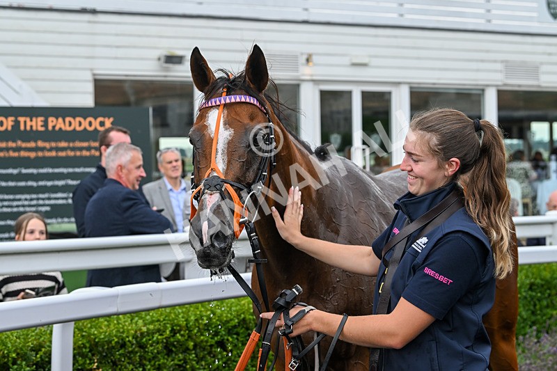 190824-Race 1-Shes A Novelty-3329 - Race 1