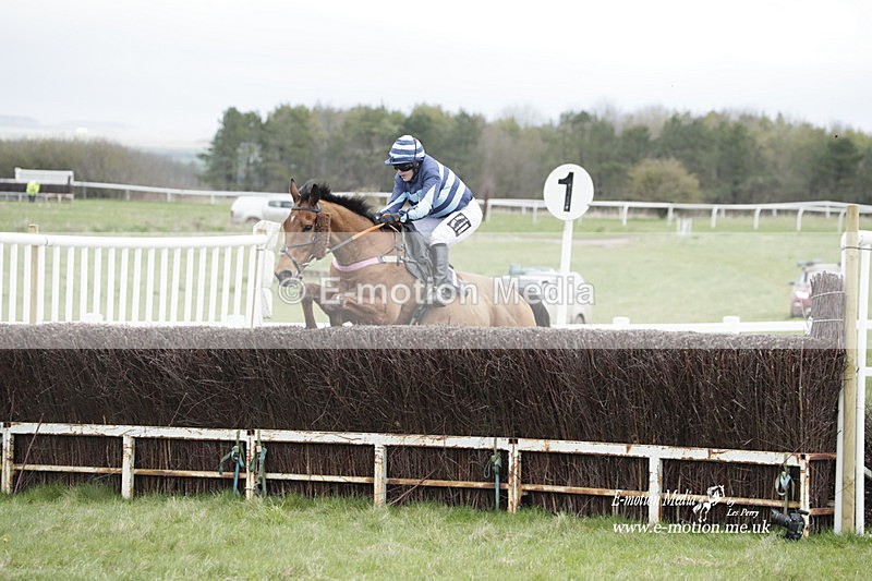 PtP 260323 0511 - New Forest Hounds Point-to-Point Larkhill 26/03/23