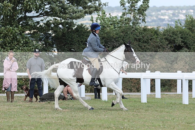 JPP_2373 - Class 19: Working Hunter 60cm