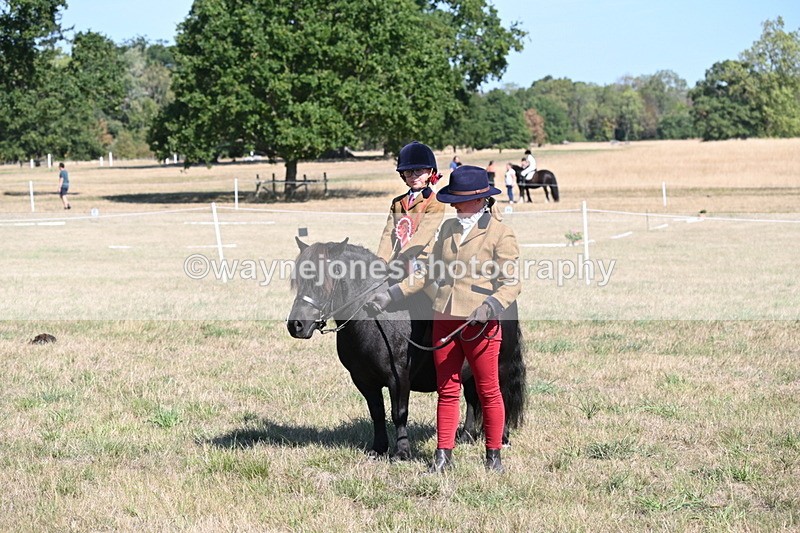 WJ6_7644 - Class 34 Judges Choice