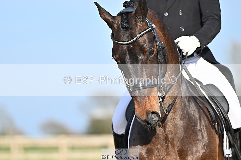 250404-181414-08576 - 159-Darren.Hicks-Tramontana.Tiger.Feet
