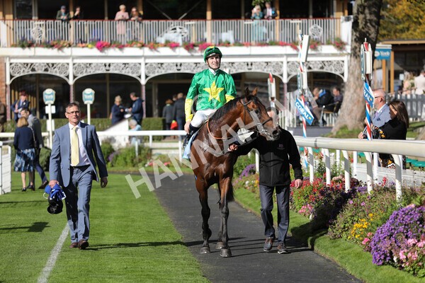 yr08102022r1-41 - Race 1 1.30pm The Coral Play 'Racing-Super-Series' for Free Nursery Handicap