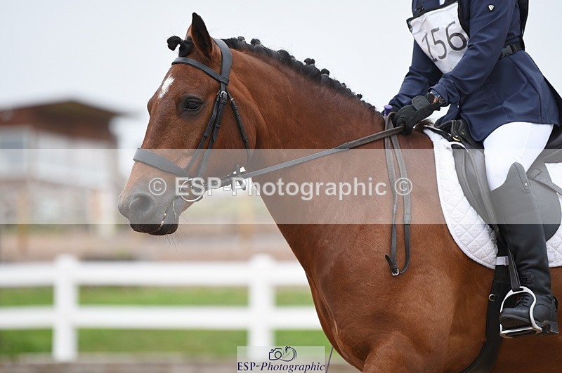 230708A-105204-01466 - Prelim 7