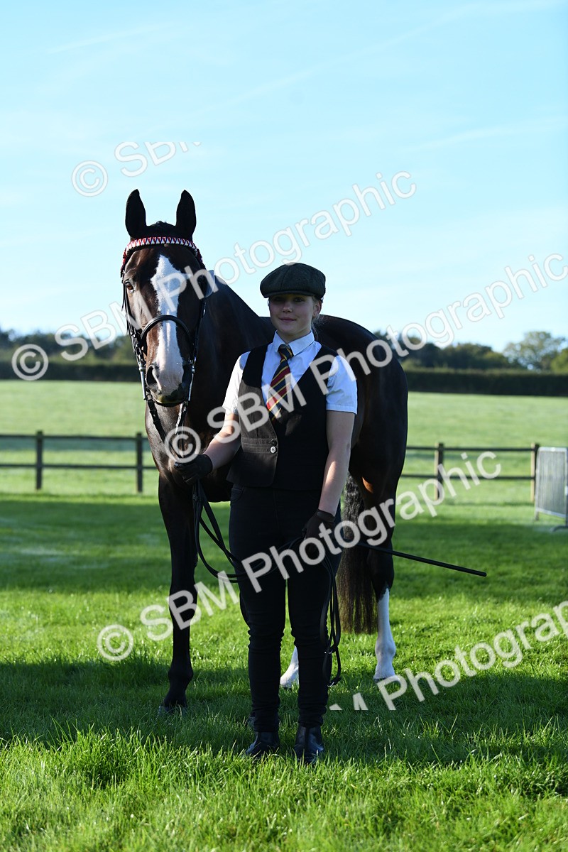 SBM_32799 - S15 - Condition & Turnout In Hand