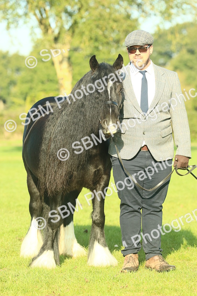 SBM_58586 - S37 - Starters In Hand Showing