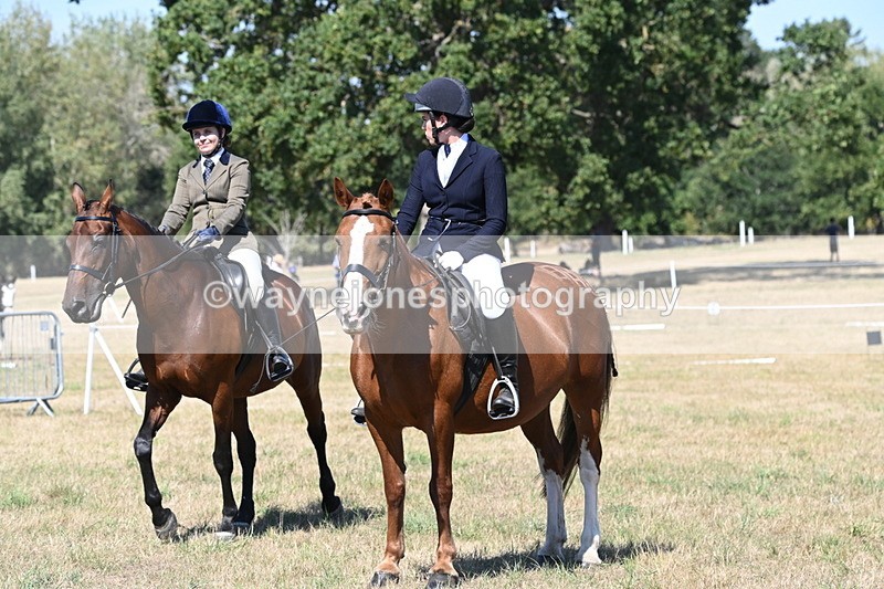 WJ6_8428 - Class 37a Best Loan Pony Ridden