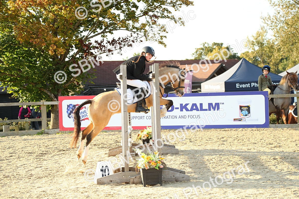 SBM_53821 - J8 - Junior Pony 65cm Championship