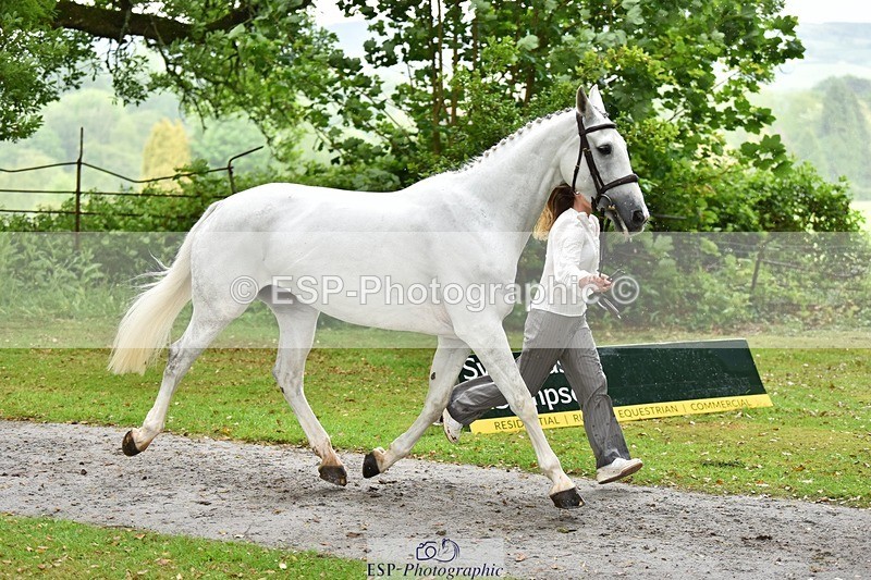 240522-161222-00782 - 160-WESTWOOD_II-Tara_Kay