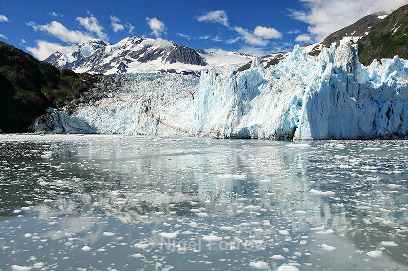 Reflection at Surprise Glacier, Prince William Sound, Alaska - Alaska, USA