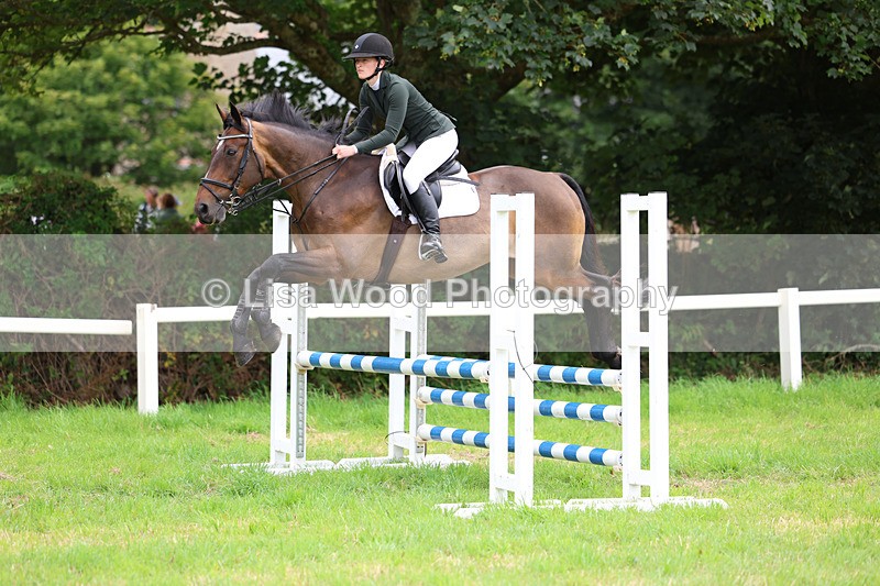 3E7A7285 - Class 5: Senior British Novice/90cm open