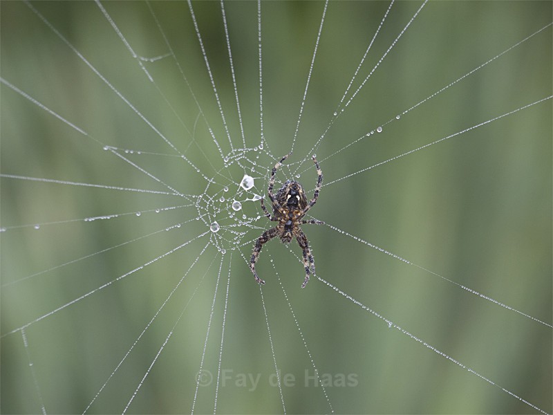 - Nature's Wonders