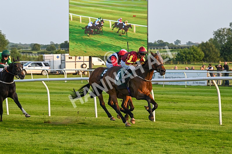 310524-Race 4-Albegone-8774 - Race 4