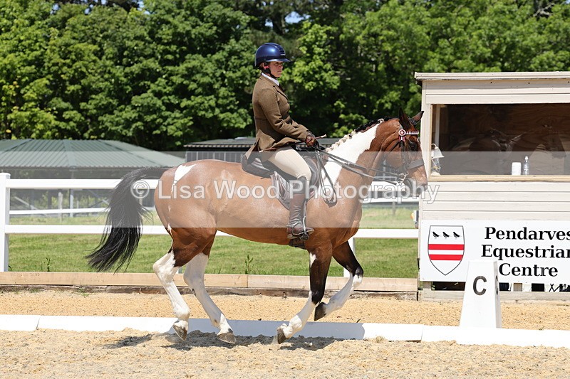 1X9A1844 - Class 12: Ridden Riding Horse/Hack