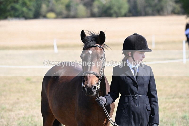 WJ6_7622 - Class 34 Judges Choice