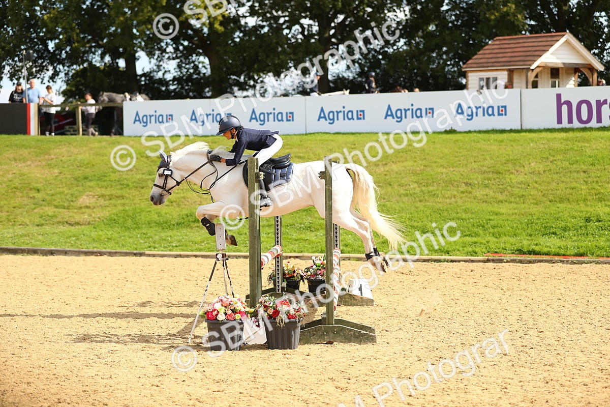 SBM_66080 - J17 - Junior Pony 80cm Championship