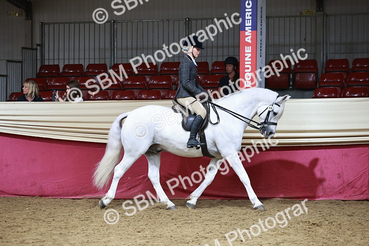 SBM_08747 - Class 12R - Regional Ridden Pre-Vet
