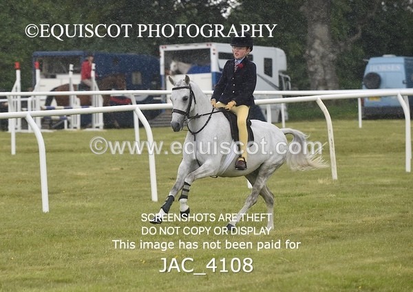 JAC_4108 - 40CM WORKING HUNTER