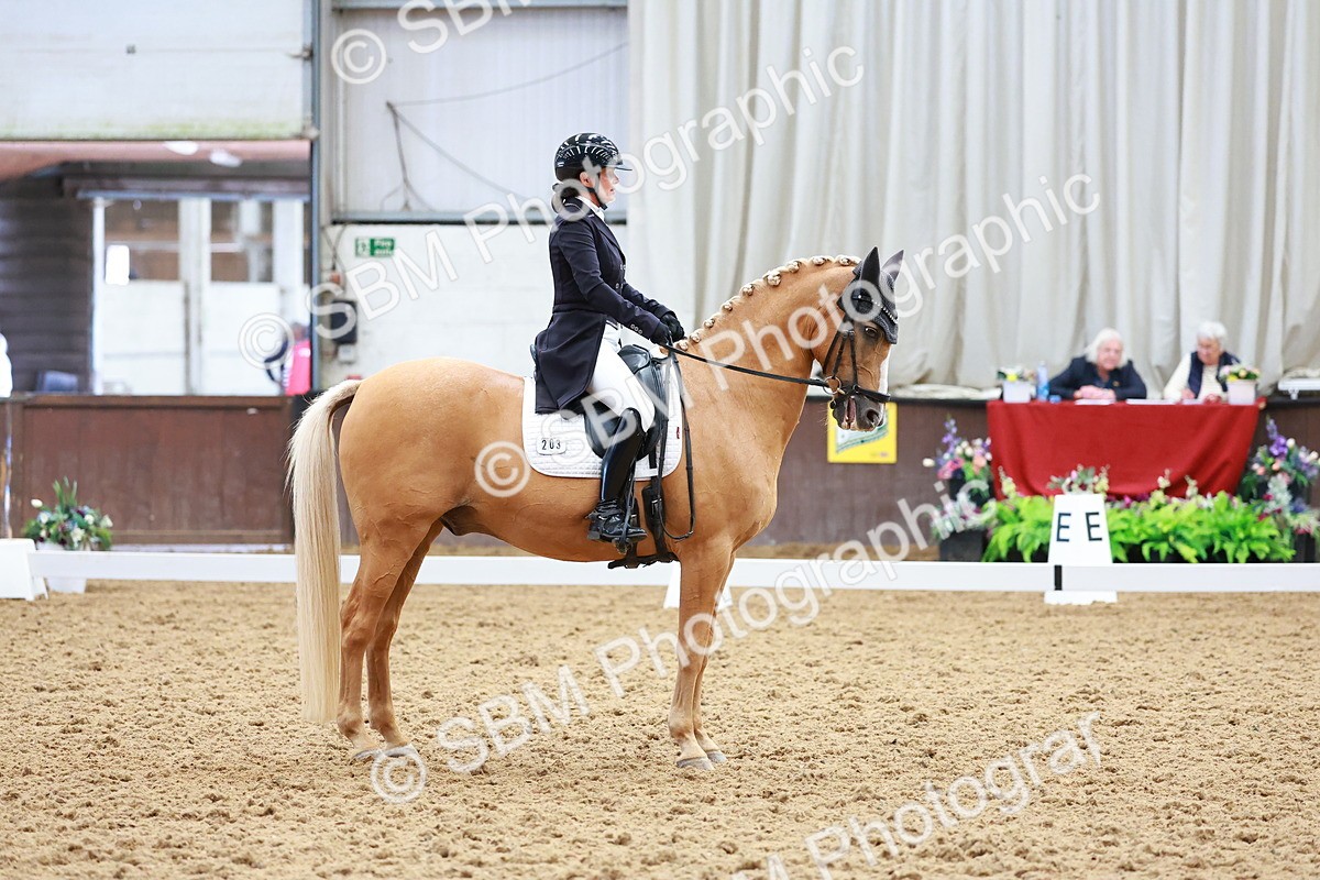 SBM_021270 - Class 25 - FEI PSG Bronze