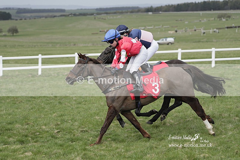 PtP 260323 1035 - New Forest Hounds Point-to-Point Larkhill 26/03/23