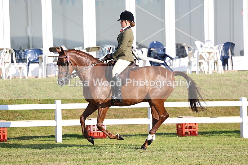 3E7A5002 - Class 1: Rising Star Small Hack/Riding Horses