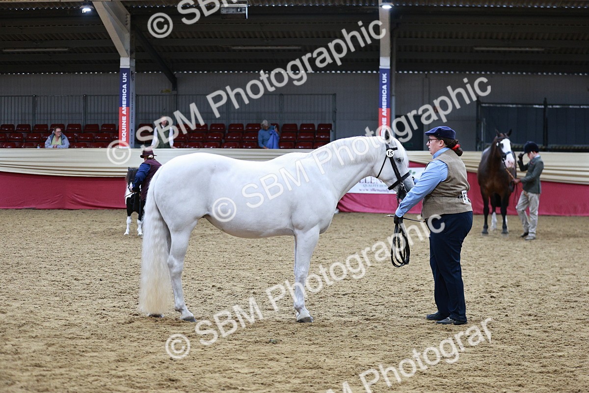 SBM_01196 - Class 3A - Area IH Pre-Vet