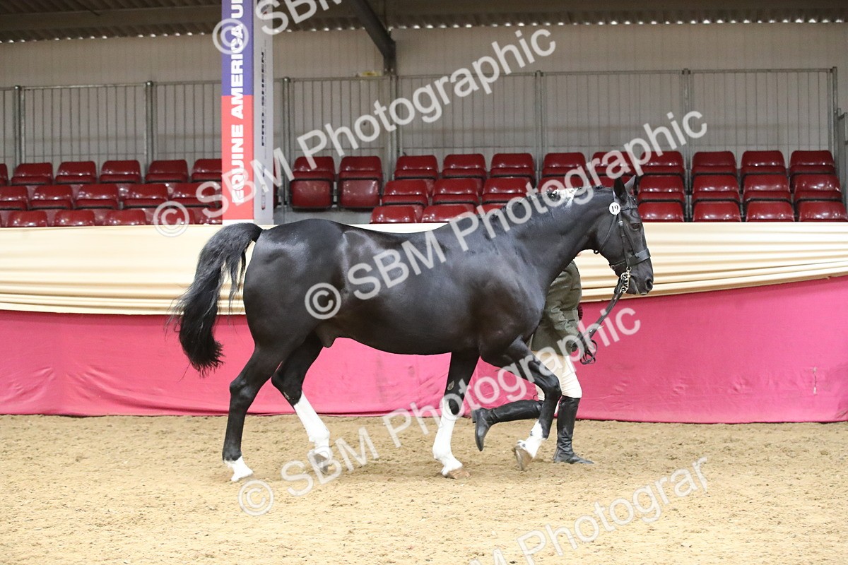 SBM_05832 - Class 9R - Regional IH Pre-Vet