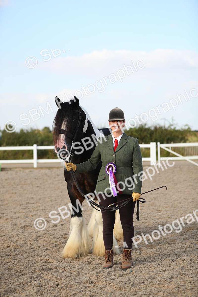 SBM_08711 - Class 28 - IH Veteran Horse