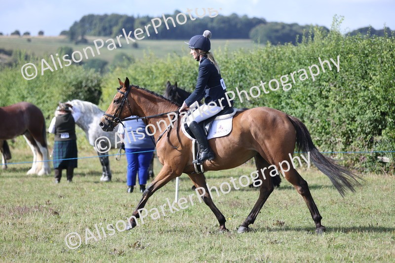20250831-0881 - Class 14 - Ex Racehorse