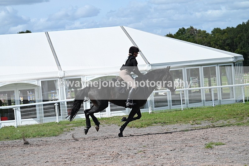 WJ7_2246 - Time 13:17 to 13:53