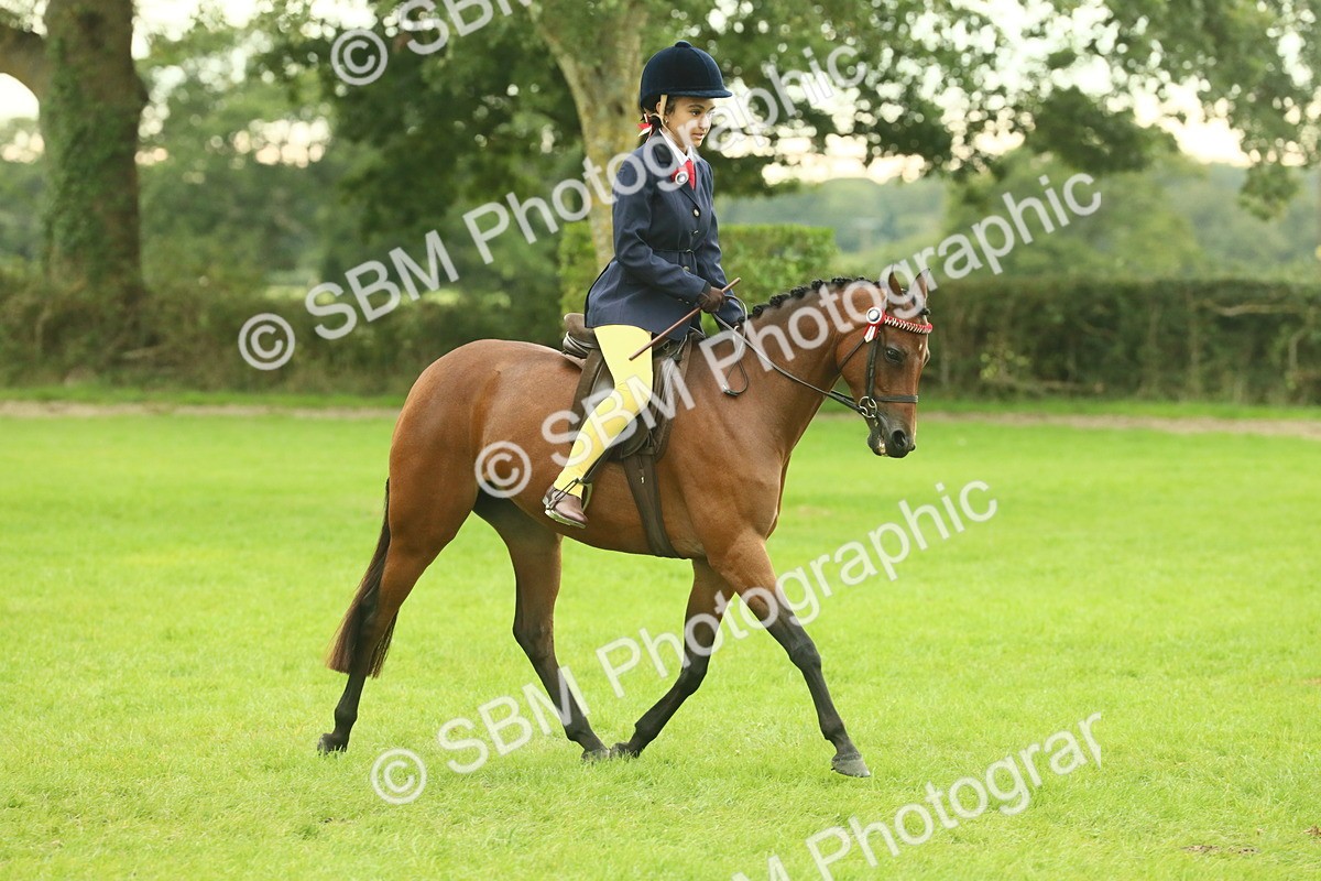 SBM_73955 - S 61 - Show Pony & Show Hunter Pony Ridden