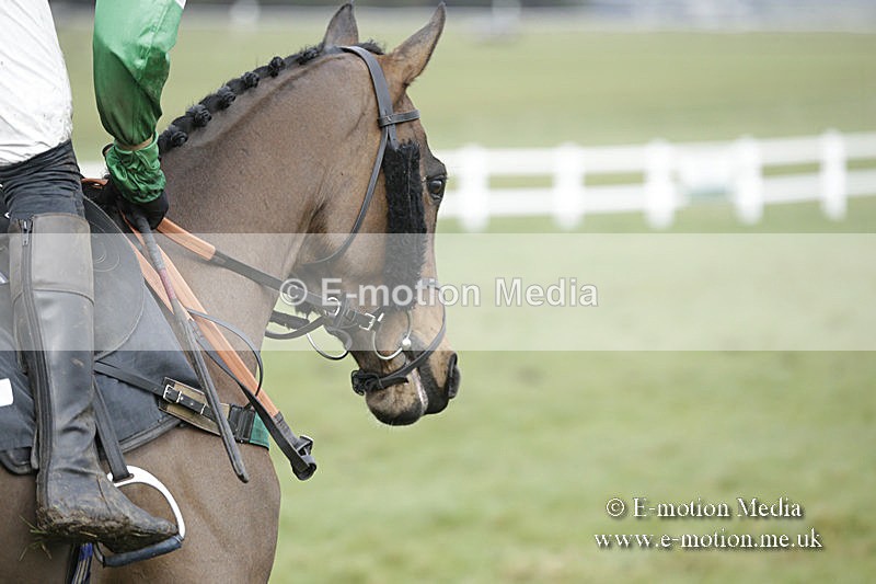 PtP 150320 0461 - New Forest Point-to-Point Larkhill 15/03/20