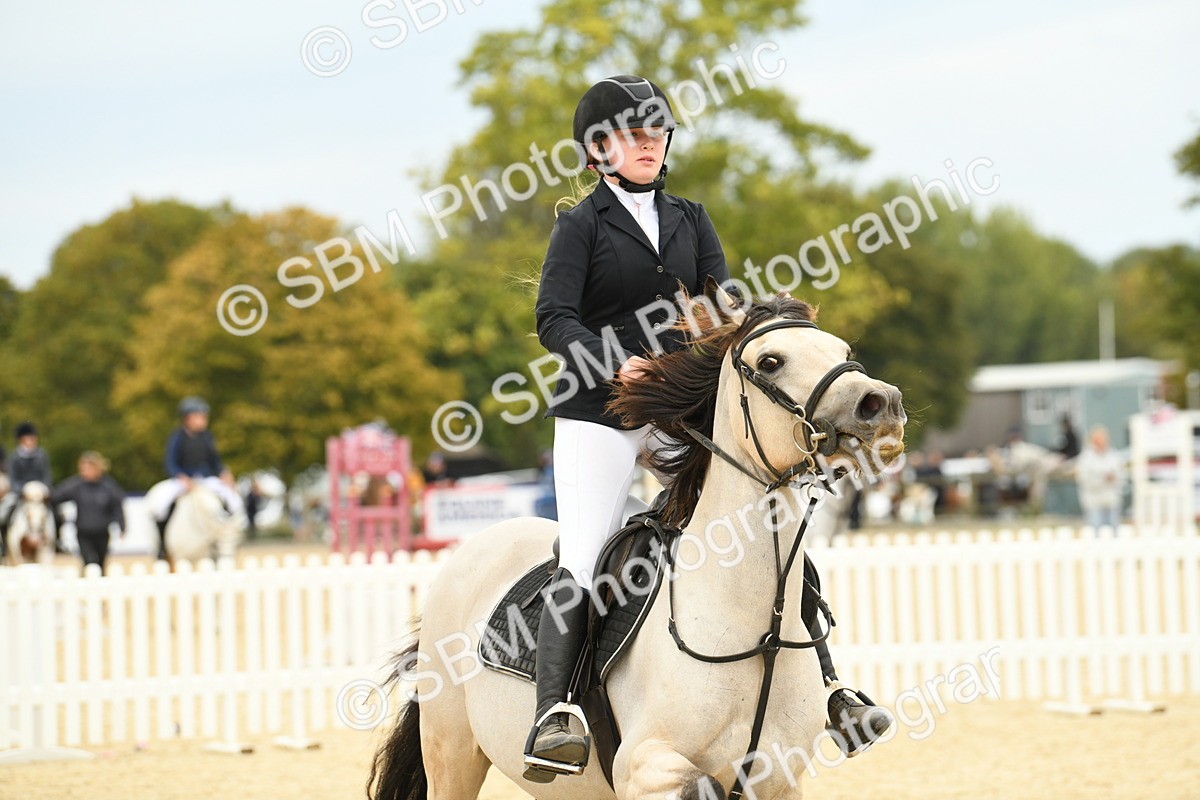 SBM_73077 - J16 - Junior Pony 75cm Championship
