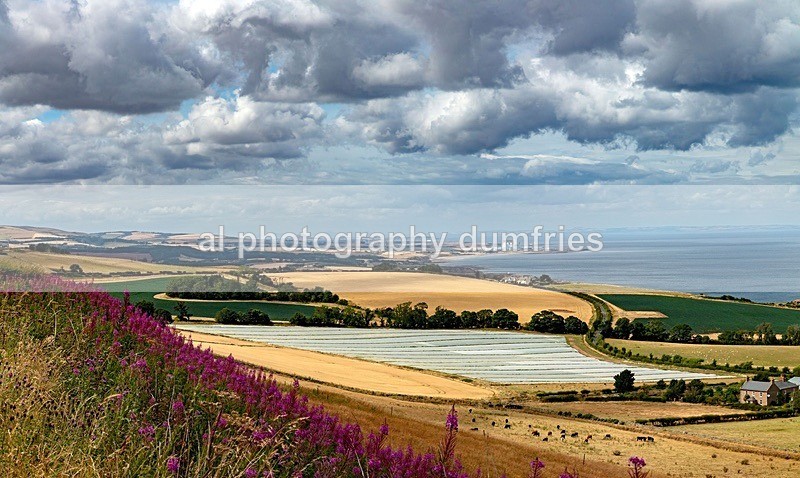 _MC_5348-Pano - Landscape