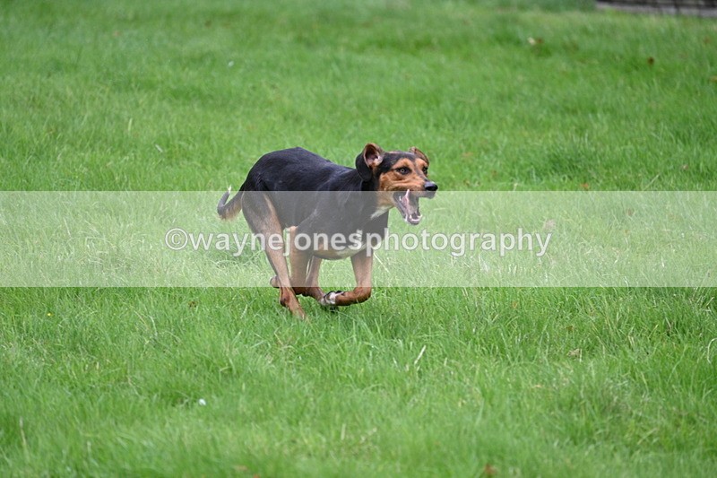 WJ7_4323 - Camera 1 Line 3