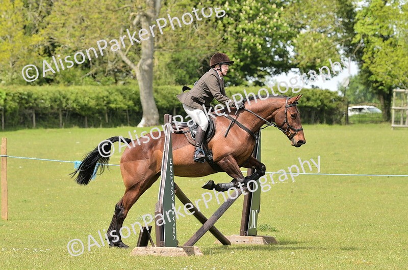 20260426-3681 - Class 22 - Working Hunter