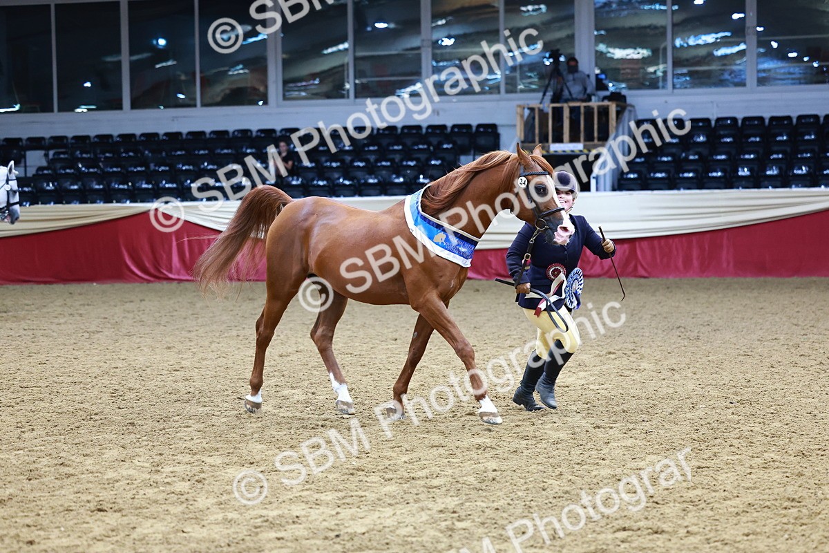 SBM_23932 - Grand Supreme Final - Overall Champ