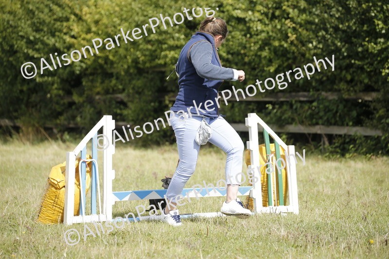 20250831-3838 - Dog Show