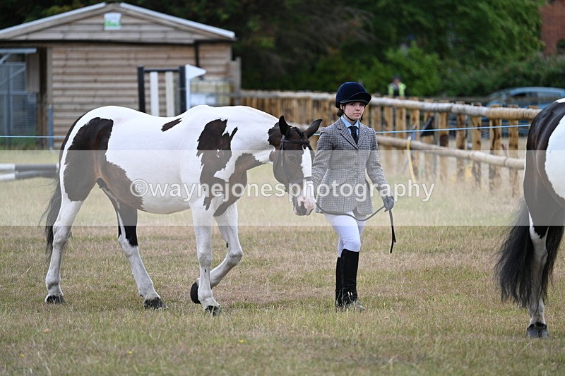 WJ7_9058 - Class 4a Prettiest Mare 14.2hh and over