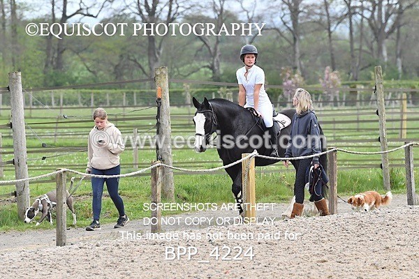 BPP_4224 - SUN CLASS 19 Club/ Unaff 80cms Open