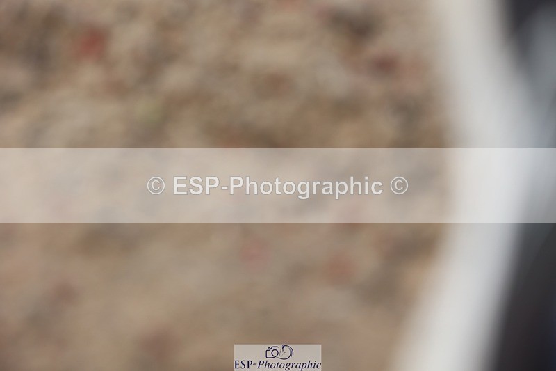 250621-140214-09281 - Cls 38 - FEI PSG