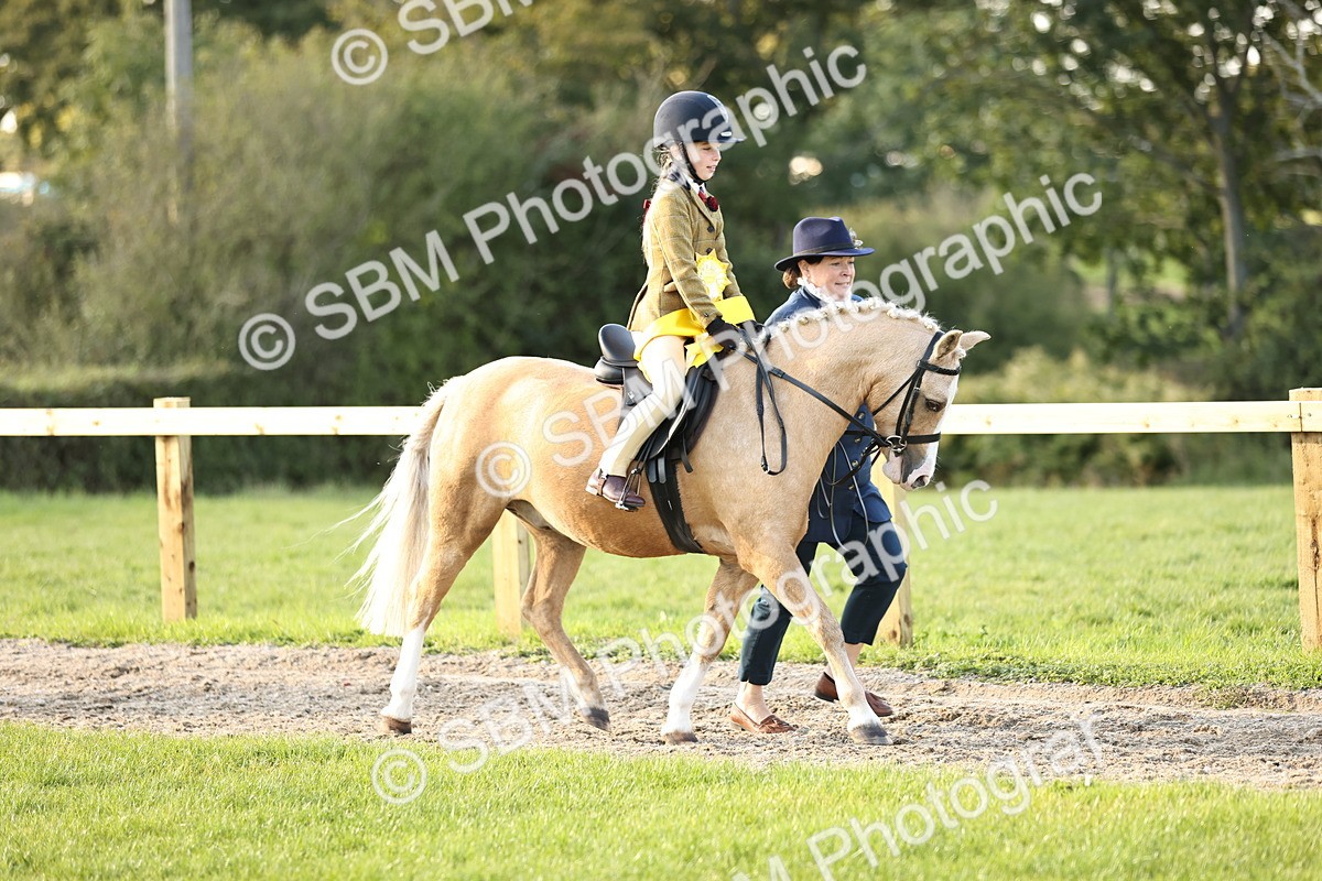 SBM_29521 - S7 - Novice & Newcomers Ridden Pony