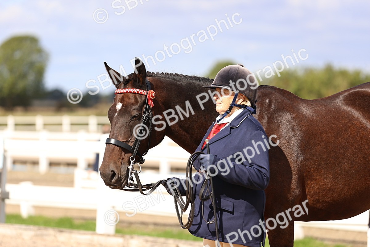 SBM_14307 - Class 411 - Prettiest Mare (IH OR Ridden) Adult
